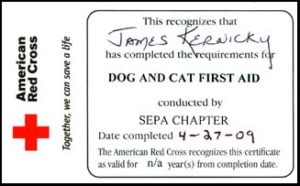 Pet CPR card front