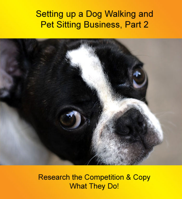 Setting up a store dog walking business