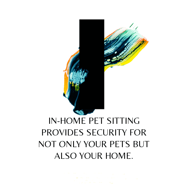 in home dog sitting rates