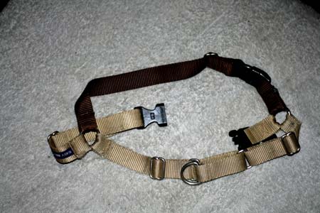 How to put on the easy walk harness