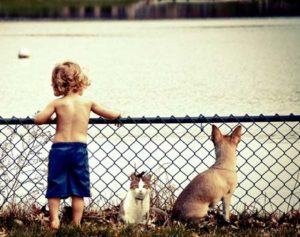 Reduction in allergies in children who have pets