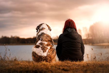 Companion dogs help with PTSD and loneliness