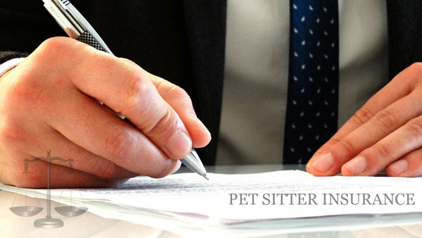 You are currently viewing Pet Sitter Insurance: Pet Sitter & Dog Walker Business Requirements