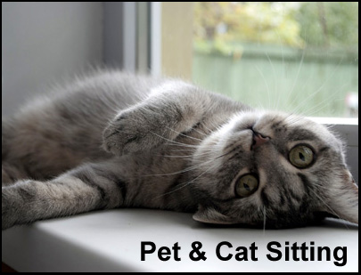 pet sitters near me cats