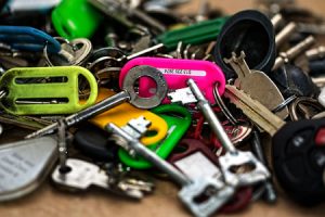 Pet sitting keys: just give us a spare set.