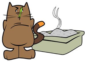 Have enough cat litter and pet food while you are away