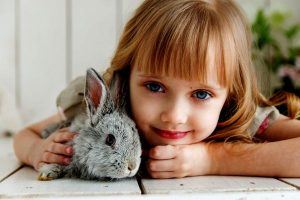 Read more about the article Rabbit Pet Sitting (Guide & Tips)