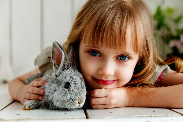 Read more about the article Rabbit Pet Sitting (Guide & Tips)